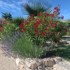 Appartement Douce Provence Magnifique Neuf Avec Jardin Proche Du Centre, Vaison-la-Romaine